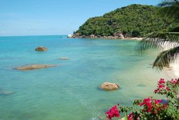 Tropical Beach Paradise