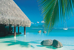 Tropical Beach Paradise